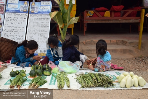 Laos, Vang Vieng, Siamak Travels 25