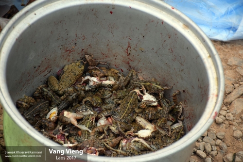 Laos, Vang Vieng, Siamak Travels 27