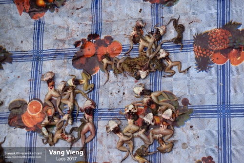 Laos, Vang Vieng, Siamak Travels 28