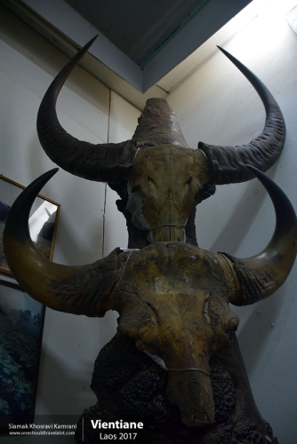 Laos, Vientiane, Siamak Travels 018