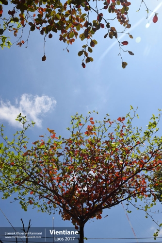 Laos, Vientiane, Siamak Travels 027