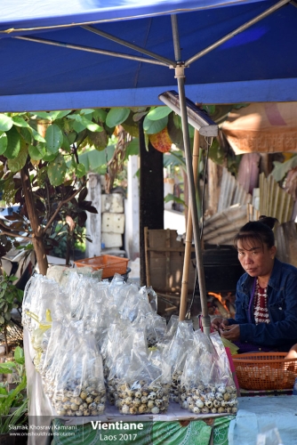 Laos, Vientiane, Siamak Travels 057