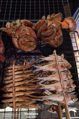 Laos, Vientiane, Siamak Travels 070