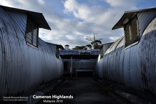 Malaysia, Cameron Highlands, Siamak Travels 10