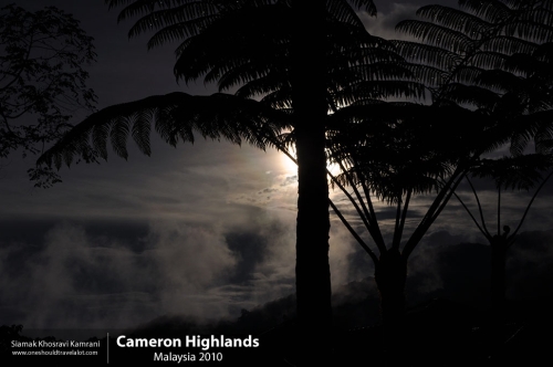 Malaysia, Cameron Highlands, Siamak Travels 11