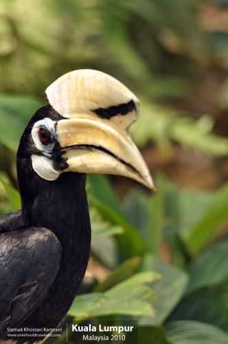 Malaysia, Kuala Lumpur, Siamak Travels 20