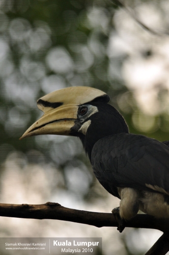 Malaysia, Kuala Lumpur, Siamak Travels 21