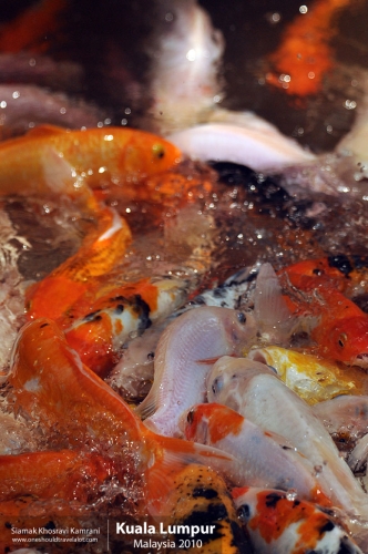 Malaysia, Kuala Lumpur, Siamak Travels 22