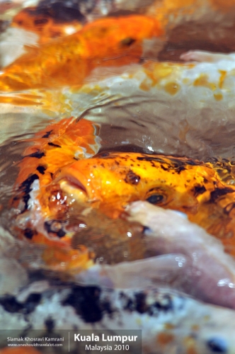 Malaysia, Kuala Lumpur, Siamak Travels 23