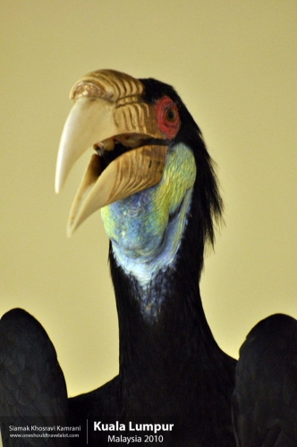 Malaysia, Kuala Lumpur, Siamak Travels 27