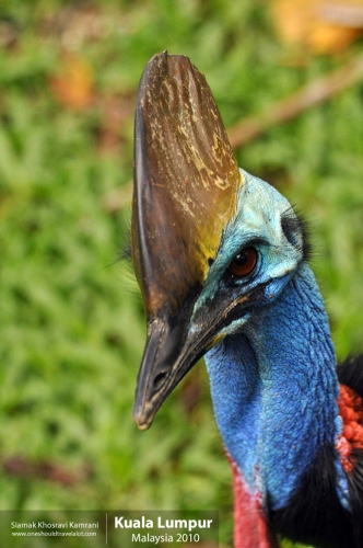 Malaysia, Kuala Lumpur, Siamak Travels 29