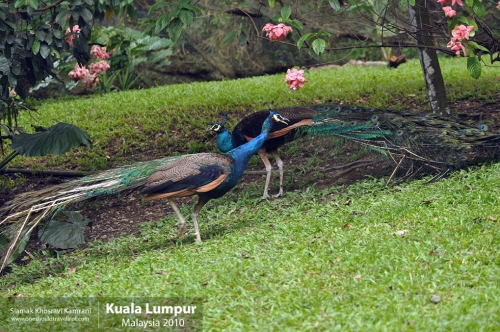 Malaysia, Kuala Lumpur, Siamak Travels 32