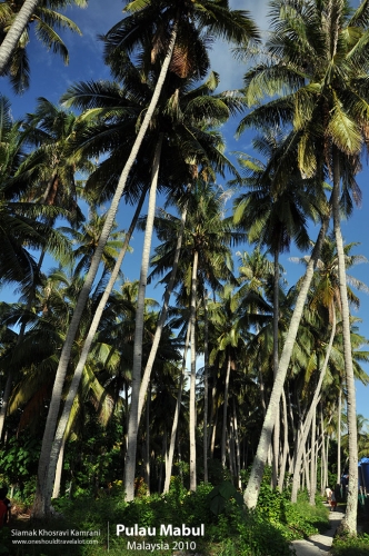 Malaysia, Pualu Mabul, Siamak Travels 39