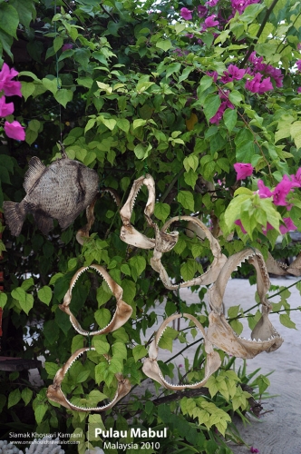 Malaysia, Pualu Mabul, Siamak Travels 46
