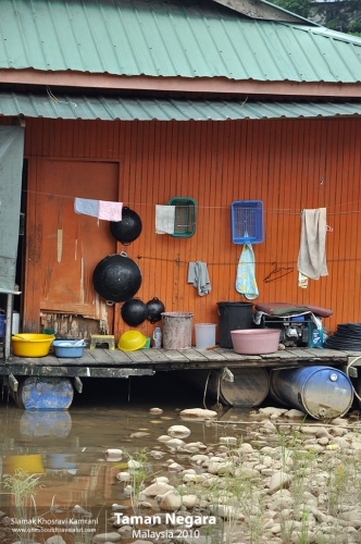 Malaysia, Taman Negara, Siamak Travels 01