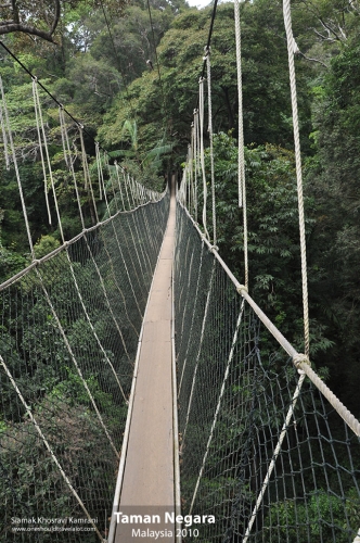 Malaysia, Taman Negara, Siamak Travels 07