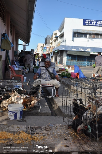 Malaysia, Tawau, Siamak Travels 2