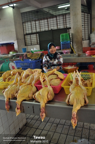 Malaysia, Tawau, Siamak Travels 3