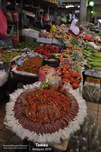 Malaysia, Tawau, Siamak Travels 5