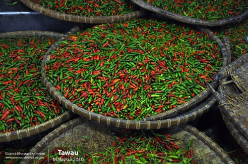 Malaysia, Tawau, Siamak Travels 7