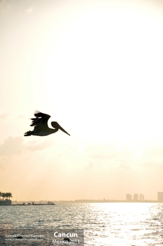 Mexico, Cancun, Siamak Travels 2