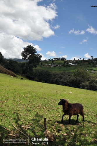 Mexico, Chamula, Siamak Travels 19