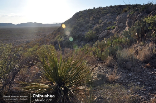 Mexico, Chihuahua, Siamak Travels 12