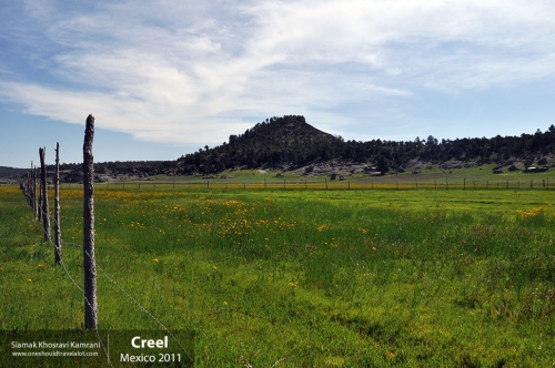 Mexico, Creel, Siamak Travels 11