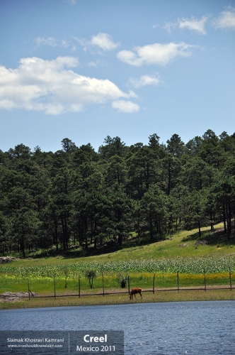 Mexico, Creel, Siamak Travels 16