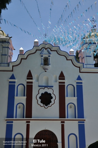 Mexico, El Tule, Siamak Travels 2