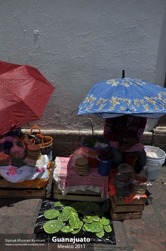 Mexico, Guanajuato, Siamak Travels 32