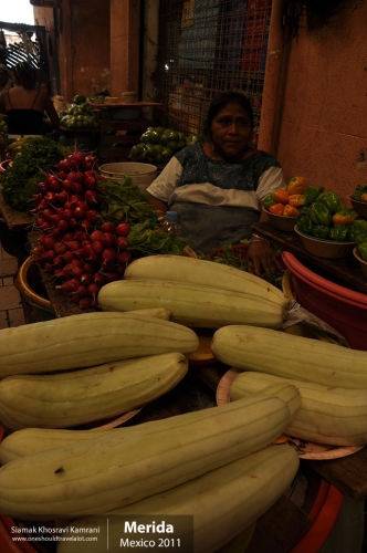 Mexico, Merida, Siamak Travels 19