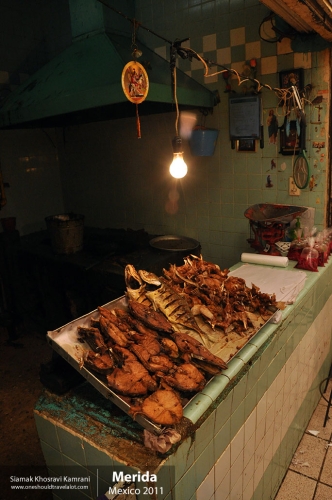 Mexico, Merida, Siamak Travels 21