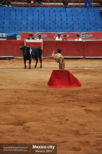 Mexico, Mexico City, Siamak Travels 143