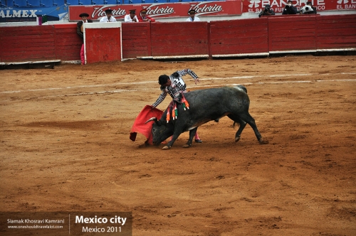 Mexico, Mexico City, Siamak Travels 146