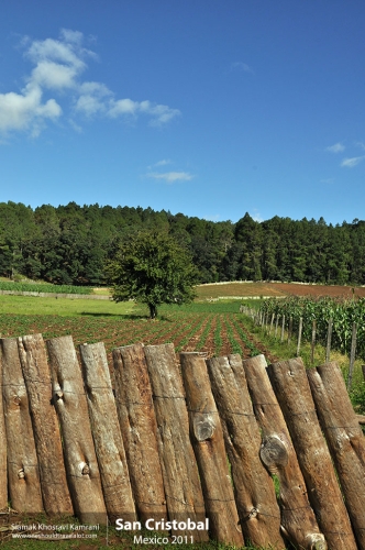 Mexico, San Cristobal, Siamak Travels 02