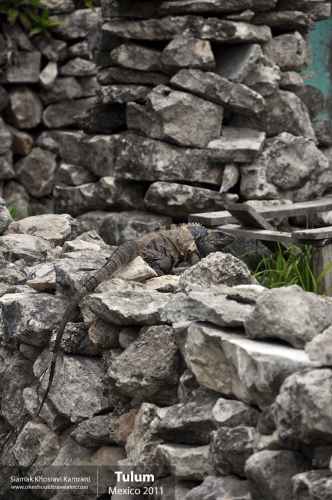 Mexico, Tulum, Siamak Travels 6