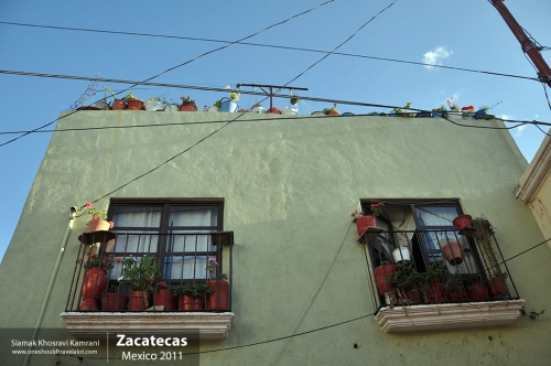 Mexico, Zacatecas, Siamak Travels 12