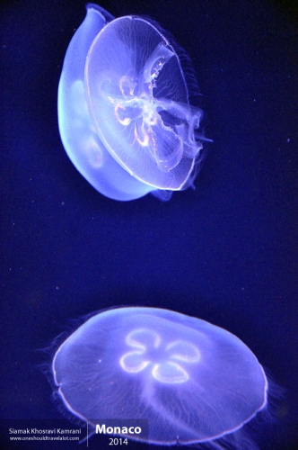 Monaco, Siamak Travels 08