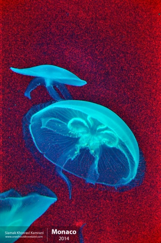 Monaco, Siamak Travels 09