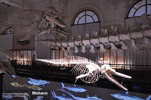 Monaco, Siamak Travels 15