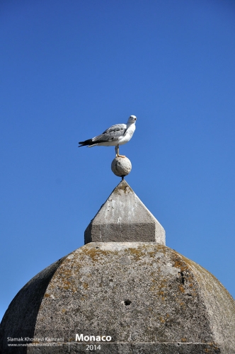 Monaco, Siamak Travels 17