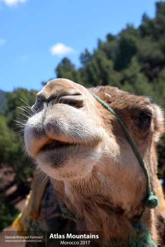 Morocco, Atlas Mountains, Siamak Travels 12