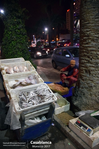 Morocco, Casablanca, Siamak Travels 41