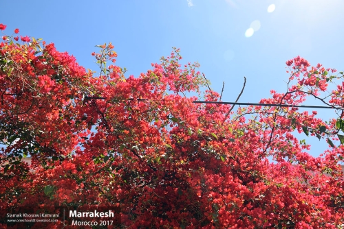 Morocco, Marrakesh, Siamak Travels 003