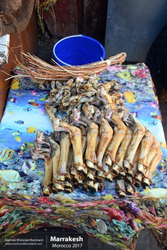 Morocco, Marrakesh, Siamak Travels 018