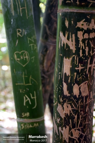 Morocco, Marrakesh, Siamak Travels 043