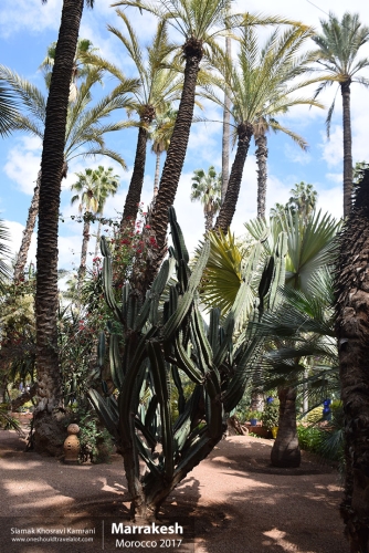 Morocco, Marrakesh, Siamak Travels 044