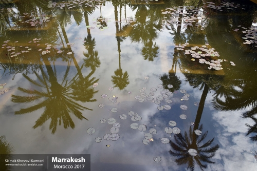 Morocco, Marrakesh, Siamak Travels 045