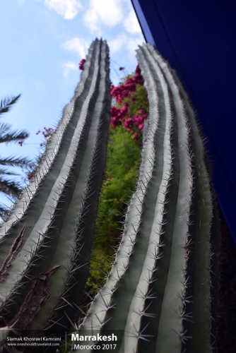 Morocco, Marrakesh, Siamak Travels 054